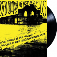 FLOODED CHURCH OF ASMODEUS Piss Soaked Church Of The Wrong: A Total Holocaust Of Those Who Turn The Other Cheek [VINYL 12"]